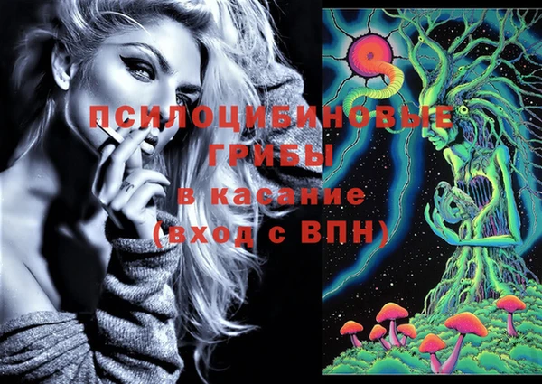 сатива Осташков