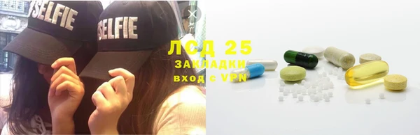 сатива Осташков