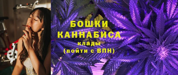 Альфа ПВП Нягань