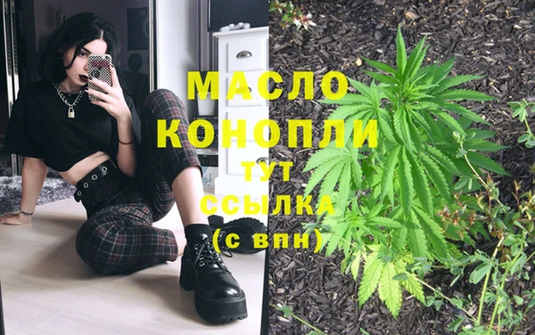 сатива Осташков