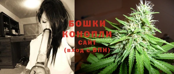 Альфа ПВП Нягань