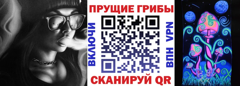 Псилоцибиновые грибы Cubensis  продажа наркотиков  Островной 